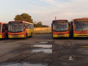 Foto de Sobreira Rastreamento em Birigui, SP por Solutudo