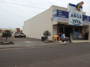 Foto galeria da empresa