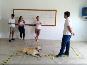 Foto de Erich Adestrador em Paulo Afonso, BA por Solutudo