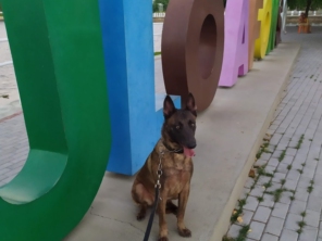 Foto galeria da empresa