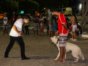 Foto de Erich Adestrador em Paulo Afonso, BA por Solutudo