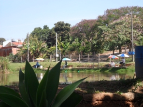 Foto de Pesqueiro Amigos em Valinhos, SP por Solutudo
