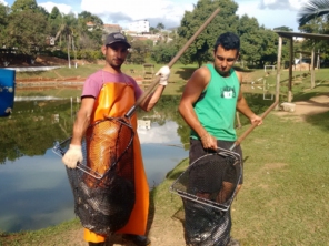 Foto de Pesqueiro Amigos em Valinhos, SP por Solutudo