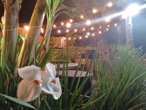 Foto de Mega Foodtruck em Estrela, RS por Solutudo