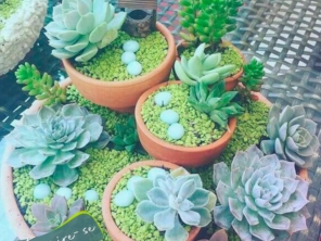 Foto de EcoJardim em Botucatu, SP por Solutudo