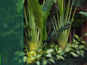 Foto de EcoJardim em Botucatu, SP por Solutudo