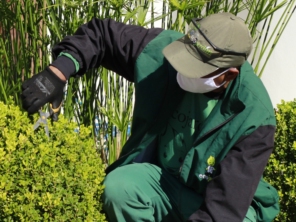 Foto galeria da empresa