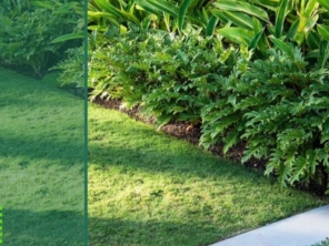 Foto de EcoJardim em Botucatu, SP por Solutudo