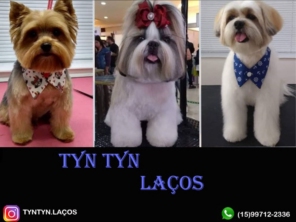 Foto de Tyn Tyn Laços Pet em Tatuí, SP por Solutudo