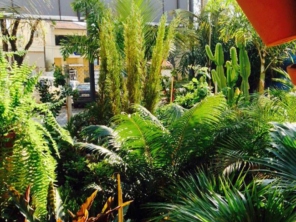 Foto de Tatui Garden em Tatuí, SP por Solutudo