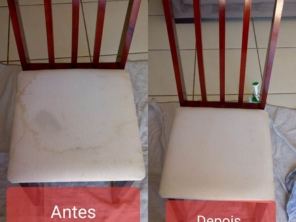 Foto de Botuclean - Limpeza Profissional de Estofados em Botucatu, SP por Solutudo