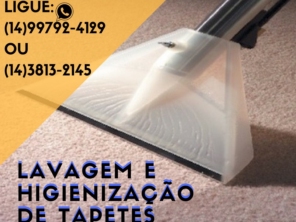 Foto de Botuclean - Limpeza Profissional de Estofados em Botucatu, SP por Solutudo