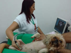 Foto galeria da empresa