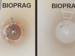 Dedetizadora Bioprag - Botucatu