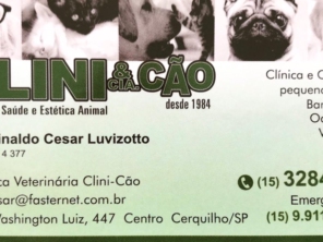 Foto de Clini & Cia Cão em Cerquilho, SP por Solutudo