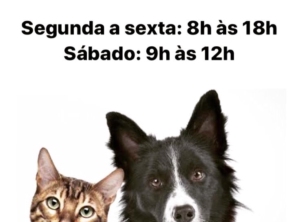 Foto de Clini & Cia Cão em Cerquilho, SP por Solutudo