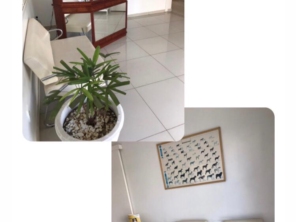 Foto de Clini & Cia Cão em Cerquilho, SP por Solutudo
