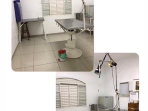 Foto de Clini & Cia Cão em Cerquilho, SP por Solutudo