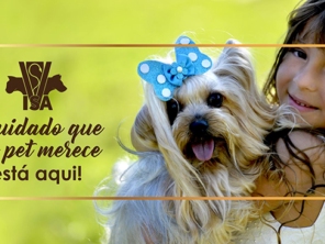 Foto de Instituto Saúde Animal em Bauru, SP por Solutudo