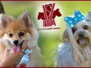 Foto de Instituto Saúde Animal em Bauru, SP por Solutudo