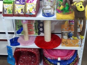 Foto galeria da empresa