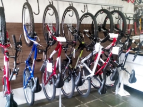 Foto galeria da empresa