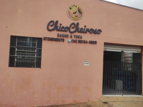 Foto galeria da empresa