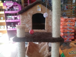 Foto de Spampy Pet em Assis, SP por Solutudo