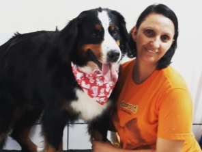 Foto galeria da empresa