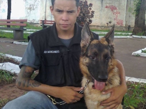 Foto de Adestrador Marcondes em Assis, SP por Solutudo