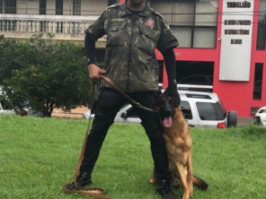 Foto de Adestrador Marcondes em Assis, SP por Solutudo