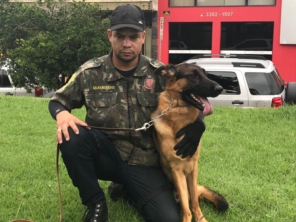 Foto de Adestrador Marcondes em Assis, SP por Solutudo