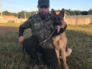Foto de Adestrador Marcondes em Assis, SP por Solutudo