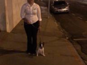 Foto de Adestrador Marcondes em Assis, SP por Solutudo