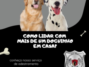 Foto de Adestrador Marcondes em Assis, SP por Solutudo