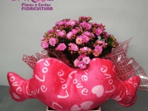 Foto de Carol Flores e Cestas em Jundiaí, SP por Solutudo