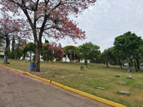Foto de Cemitério Parque dos Ipês em Jundiaí, SP por Solutudo