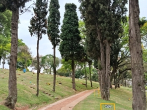 Foto de Cemitério Parque dos Ipês em Jundiaí, SP por Solutudo