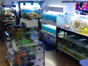 Foto galeria da empresa