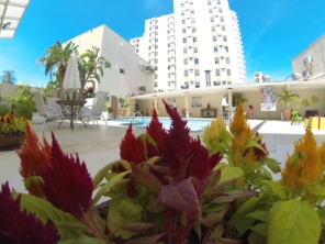 Foto de Hotel Serra de Jundiaí em Jundiaí, SP por Solutudo