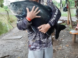 Foto de Skifish Pesca e Lazer em Tarumã, SP por Solutudo