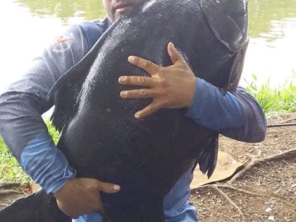 Foto de Skifish Pesca e Lazer em Tarumã, SP por Solutudo