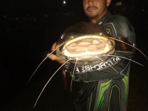 Foto de Skifish Pesca e Lazer em Tarumã, SP por Solutudo