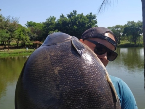Foto de Skifish Pesca e Lazer em Tarumã, SP por Solutudo