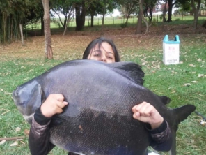 Foto de Skifish Pesca e Lazer em Tarumã, SP por Solutudo