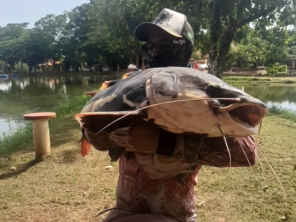 Foto de Skifish Pesca e Lazer em Tarumã, SP por Solutudo
