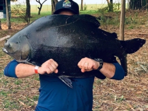 Foto de Skifish Pesca e Lazer em Tarumã, SP por Solutudo