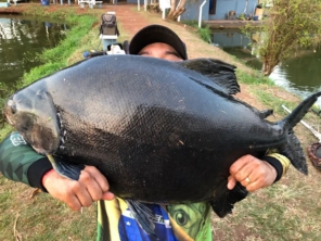 Foto galeria da empresa