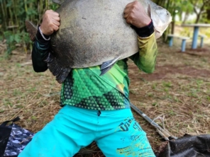 Foto de Skifish Pesca e Lazer em Tarumã, SP por Solutudo