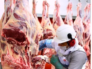 Foto de Better Beef em Botucatu, SP por Solutudo